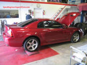 Ford Mustang Dyno 03 Cobra