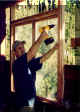 With the wood planed, we were able to begin working on project.  Here Bob puts screens in the windows.