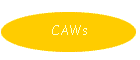 CAWs