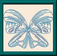 butterflythumb.jpg