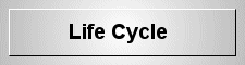 lifecyclebutton.gif