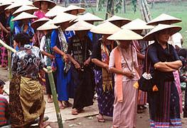 Guests in the traditional dresses towards to the Funeral Ceremony in Toraja Land