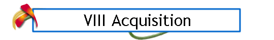 VIII Acquisition