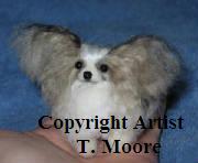 needle_felted_papillon_dog_puppy_sable_white_tri-color.jpg