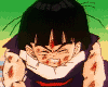 gohan1.gif (12674 octets)