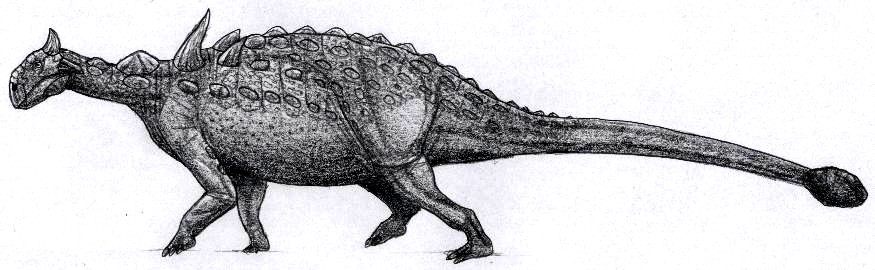 Euoplocephalus