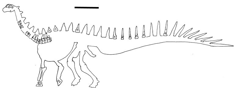 Agustinia ligabuei