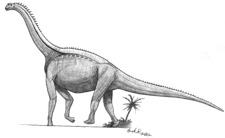 Atlasaurus imelakei