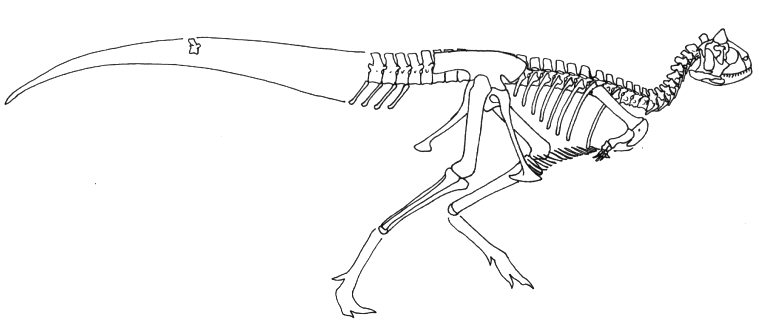 Carnotaurus sastrei