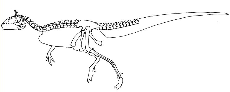 Cryolophosaurus ellioti