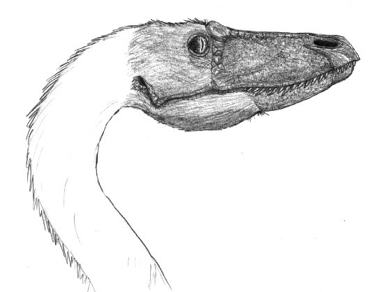 Deinonychus head portrait