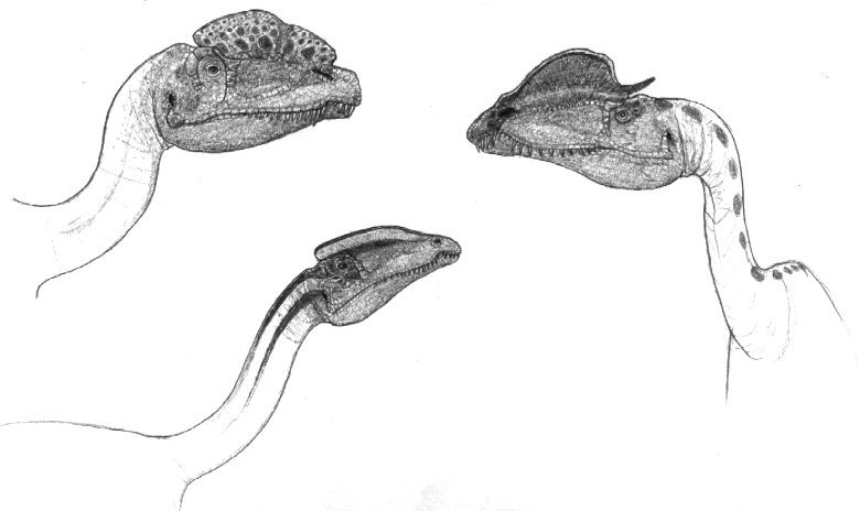 Dilophosaurids