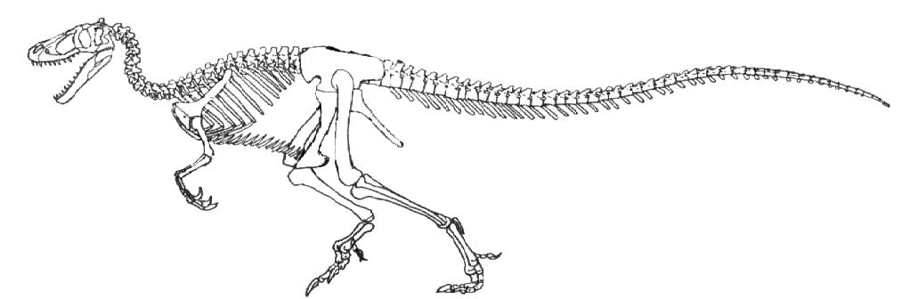 Dryptosaurus aquilunguis