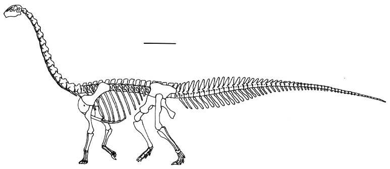 Gonxianosaurus shibeiensis