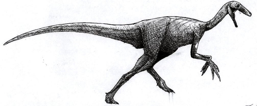 Harpymimus okladnikoui