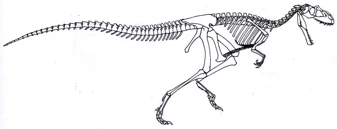 Megalosaurus bucklandii