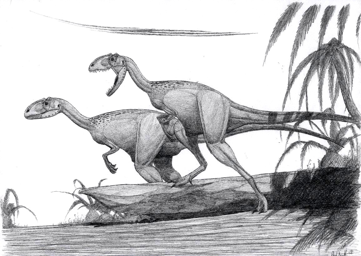 Piatnitzkysaurus floresi