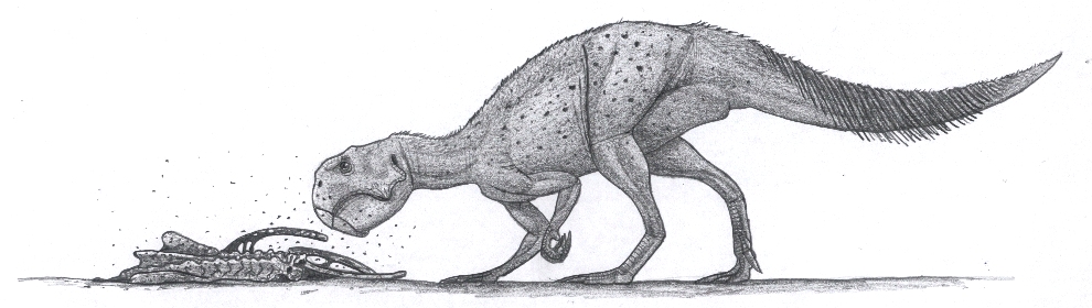 Psittacosaurus sp with 'feathers' on the tail