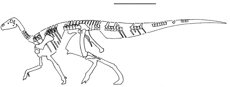 Rhabdodon priscus