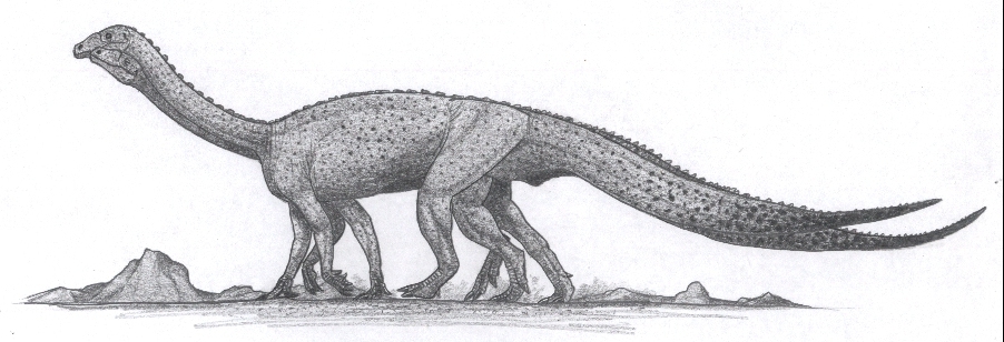 Riojasaurus incertus