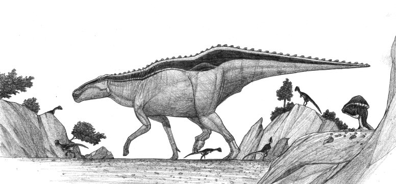 Shantungosaurus gigantea, w Tylocephale gilmorei