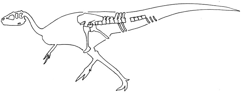 Siamotyrannus isanensis