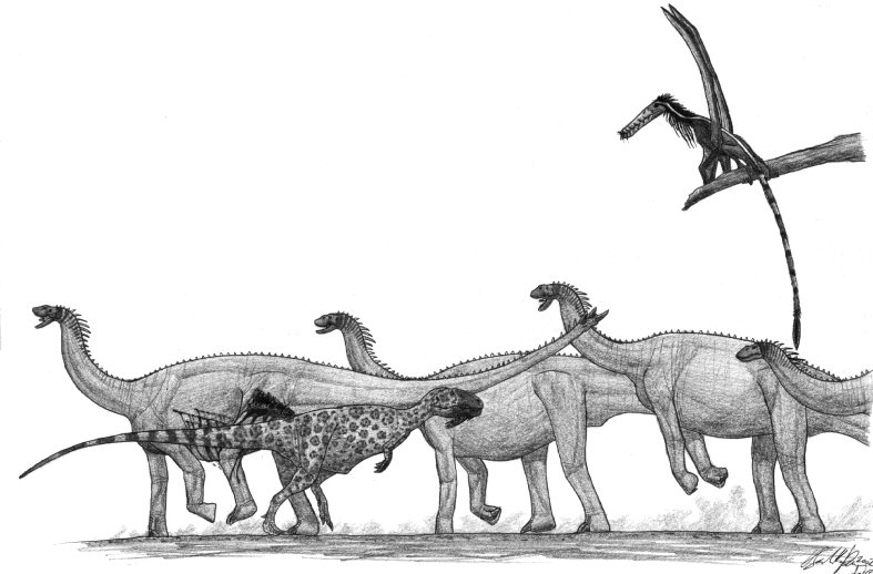 Shunosaurus lii VS Sinraptor dongi