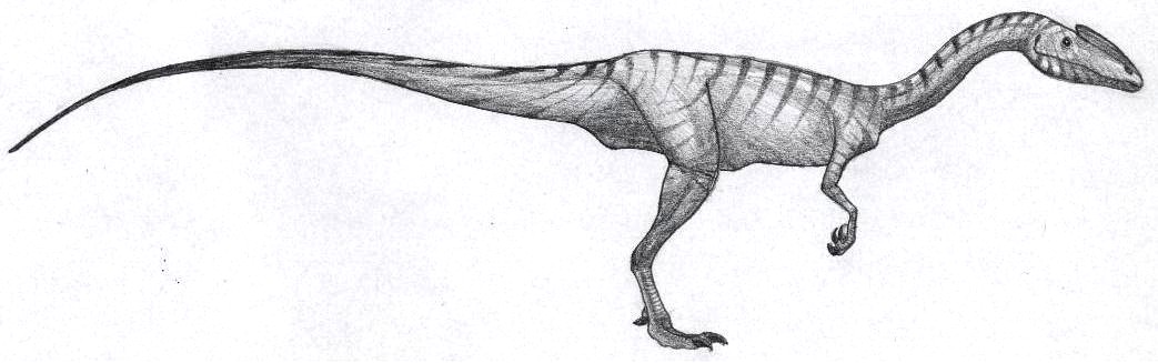 Megapnosaurus kayentakatae