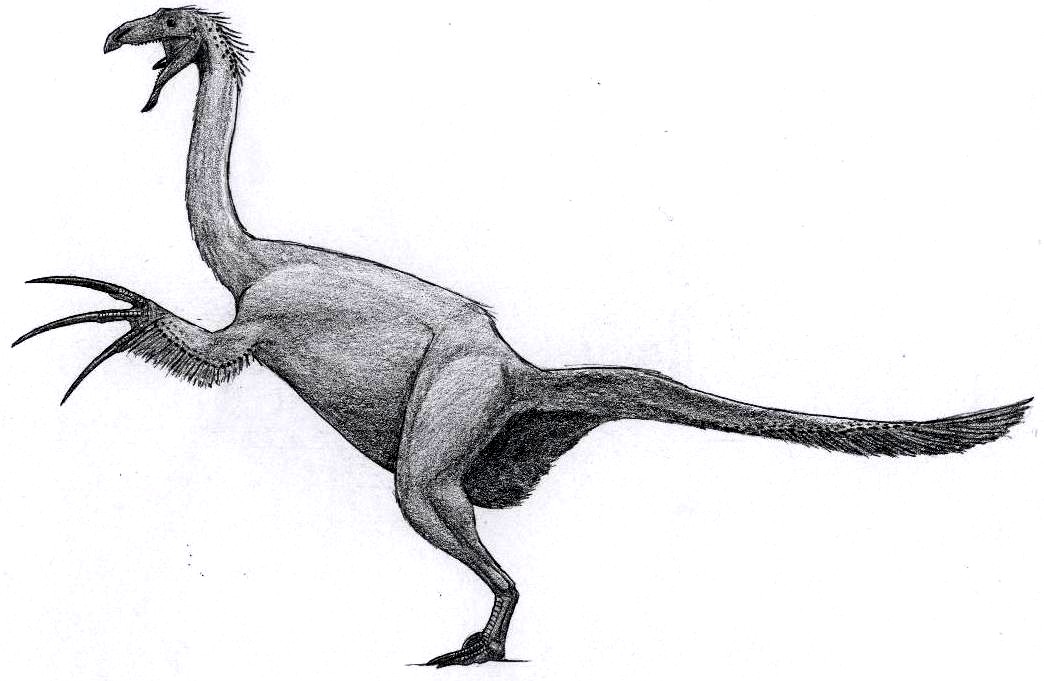 Therizinosaurus cheloniformis