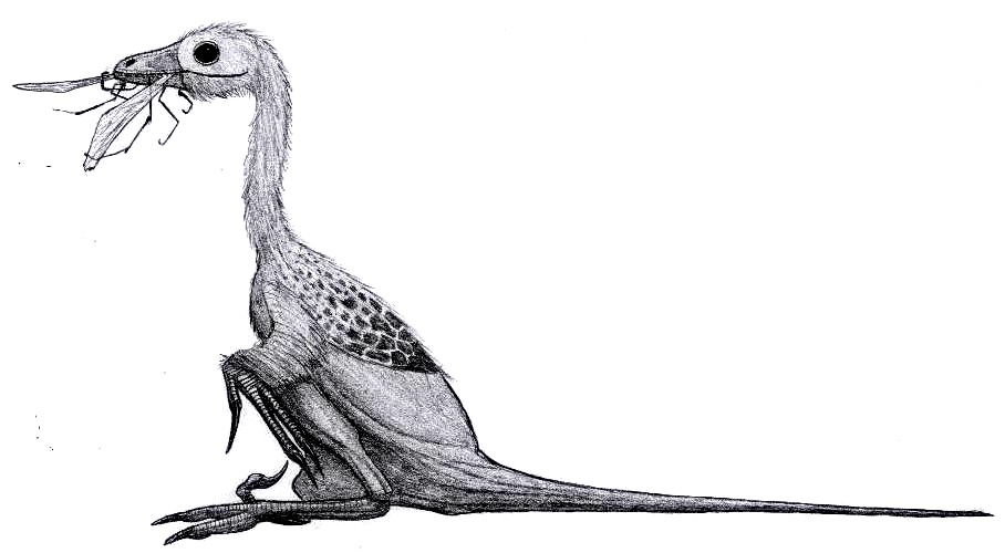 Troodon formosus