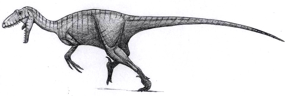 Utahraptor ostrommayosorum