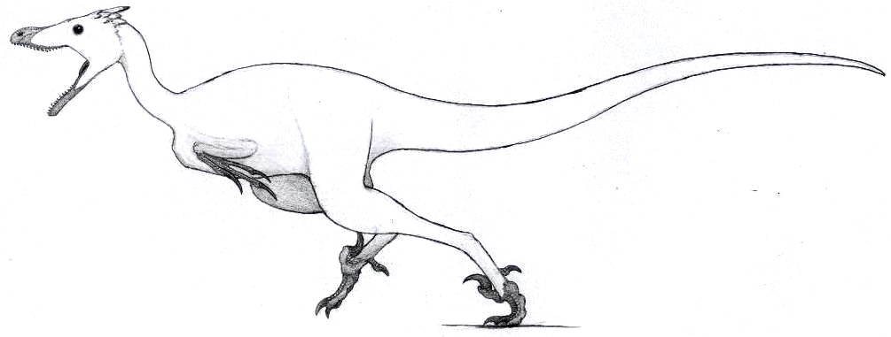 Velociraptor mongoliensis