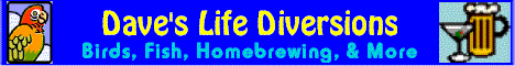 Dave's Life Diversions