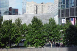 view-from-liberty-park-museum-oculus-arts.jpg