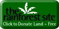 Donate rainforest land with a click to The Rainforest Site