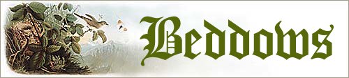 Beddows Banner