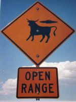 Open Range - Watch for UFOs/Cattle