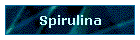 Spirulina