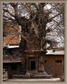 Bhaktapur - tree temple