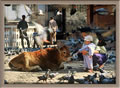 Kathmandu - Durbar Square