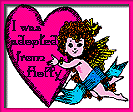 Pretty Cupid by Holly