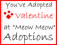 Meow Meow Adoptions