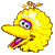 bigbird_head.gif (847 bytes)