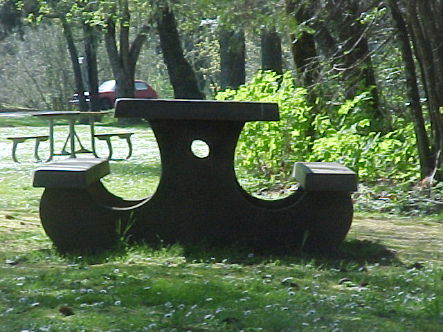 Park Bench in Helmick park near Monmouth.