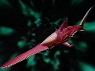 SAWSHARK WILDZORD