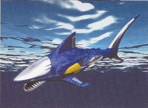 SHARK WILDZORD