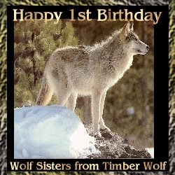 Happy First Birthday to my Wolf Sisters