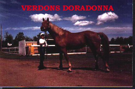 Verdon's Doradona