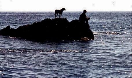 Brad and Louie on a rock in the ocean