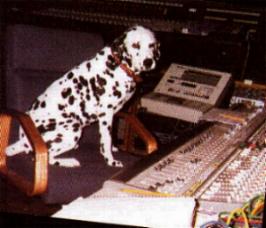 Lou Dog mixing it up(original)